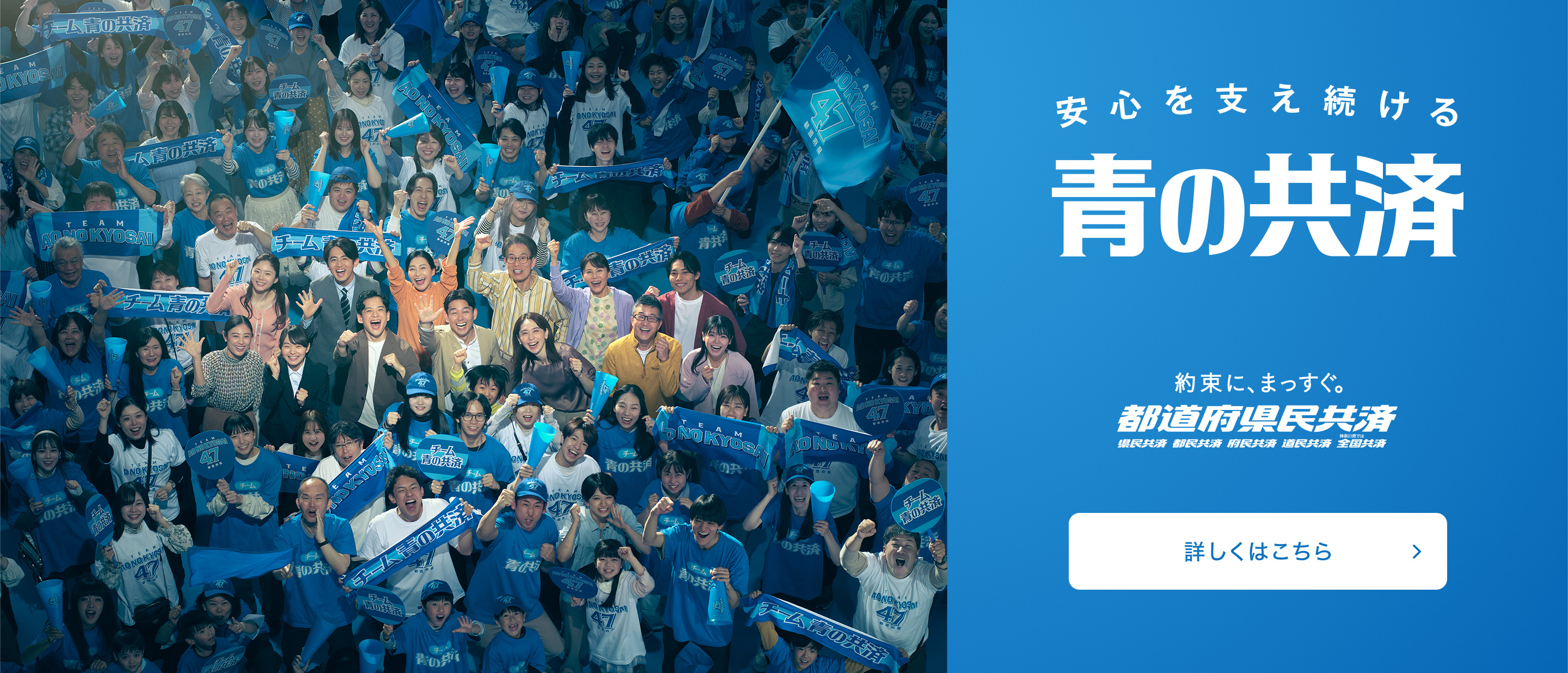 https://www.kyosai-cc.or.jp/yakusoku/index.html